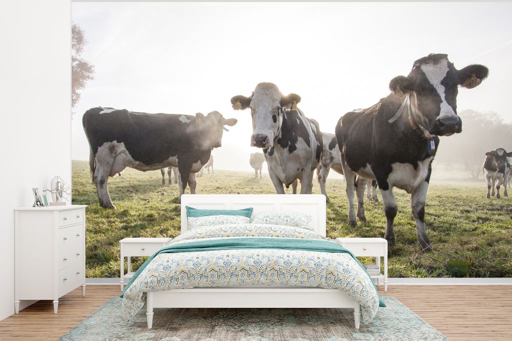 MuchoWow Fototapete für Wohnzimmer oder Schlafzimmer Wandtapete Vinyl Motivtapete Kühe - Licht - Gras - Tiere - 400x300 cm - Papiertapeten