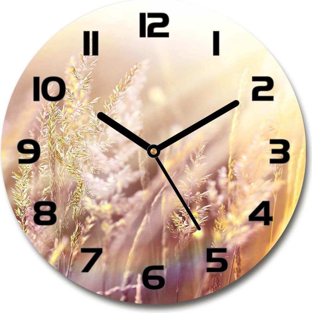 Wanduhr aus Glas 30fi Glasbild Glasuhr Gehärtetes Glas - schwarze-zeiger - Tall grass