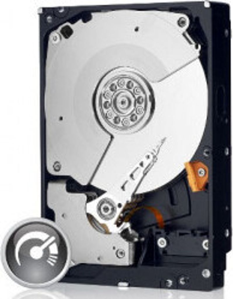 WD Black Performance Hard Drive WD5003AZEX - Festplatte - 500 GB - intern - 3.5" (8.9 cm)