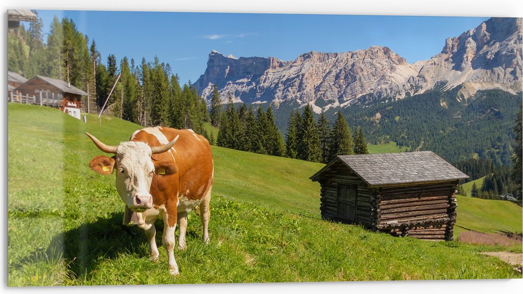 DEQORI Küchenrückwand Glas 80x40 cm 'Alpine Ruhepause' Spritzschutz Bad Rückwand Küche