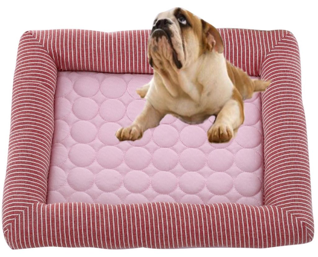 Hundebetten für kleine und mittelgroße Hunde und Katzen. Strapazierfähiges, waschbares Haustierbett, orthopädisches Hundesofa, weiches, beruhig...