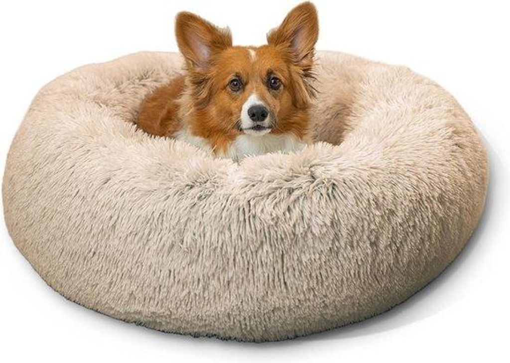 Hundekissen - Hundekissen für Hunde und Katzen - Beige - 76 x 76 cm - Maschinell waschbar - Entfernbare Decke mit Reißverschluss - M