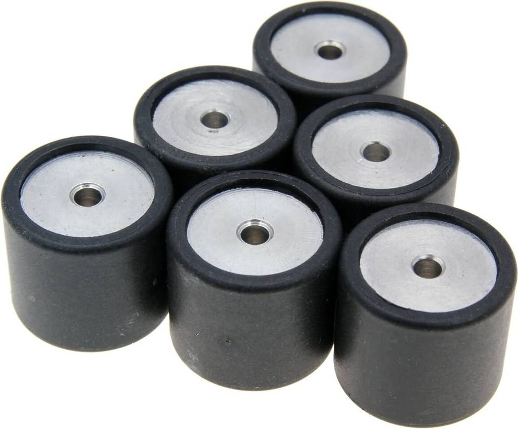 POLINI Variator-Rollen 19X17 9,0 g