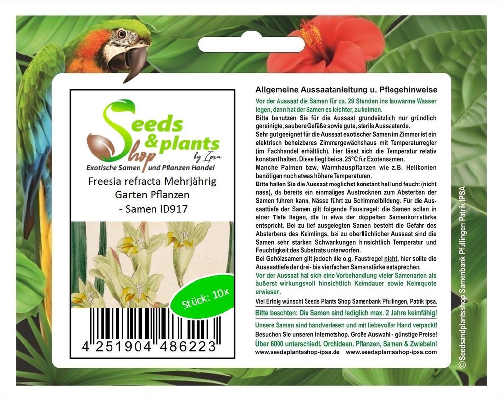 10x Freesia refracta Mehrjährig Garten Pflanzen - Samen ID917