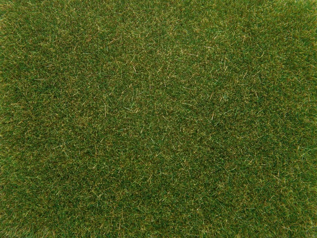 NOCH Streugras mittelgrün, 4 mm, 20g 08364