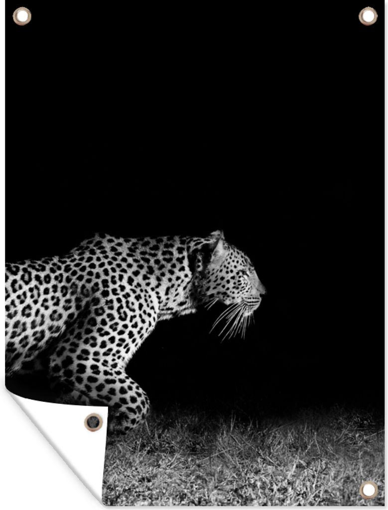 MuchoWow 60x80 cm Outdoor-Poster Gartendeko Sichtschutz Garten Poster für den Garten Wildtiere - Leopard - Gras - Schwarz - Weiß