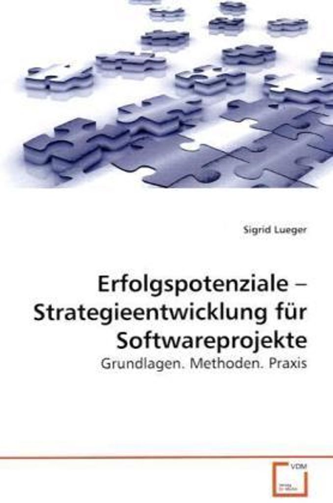 Erfolgspotenziale - Strategieentwicklung für Softwareprojekte