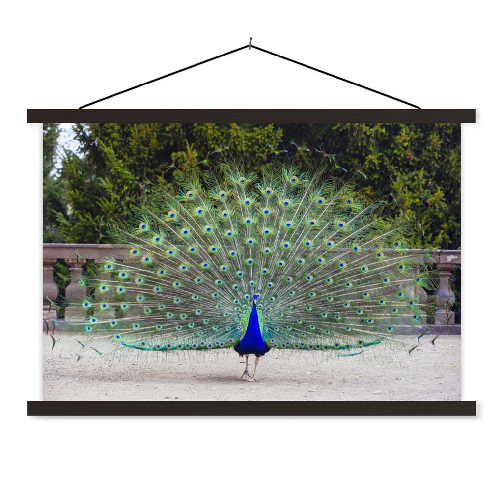 MuchoWow Textilposter Pfau - Flügel - Schwanz 90x60 cm mit schwarzem Rahmen - Aufhängungssatz