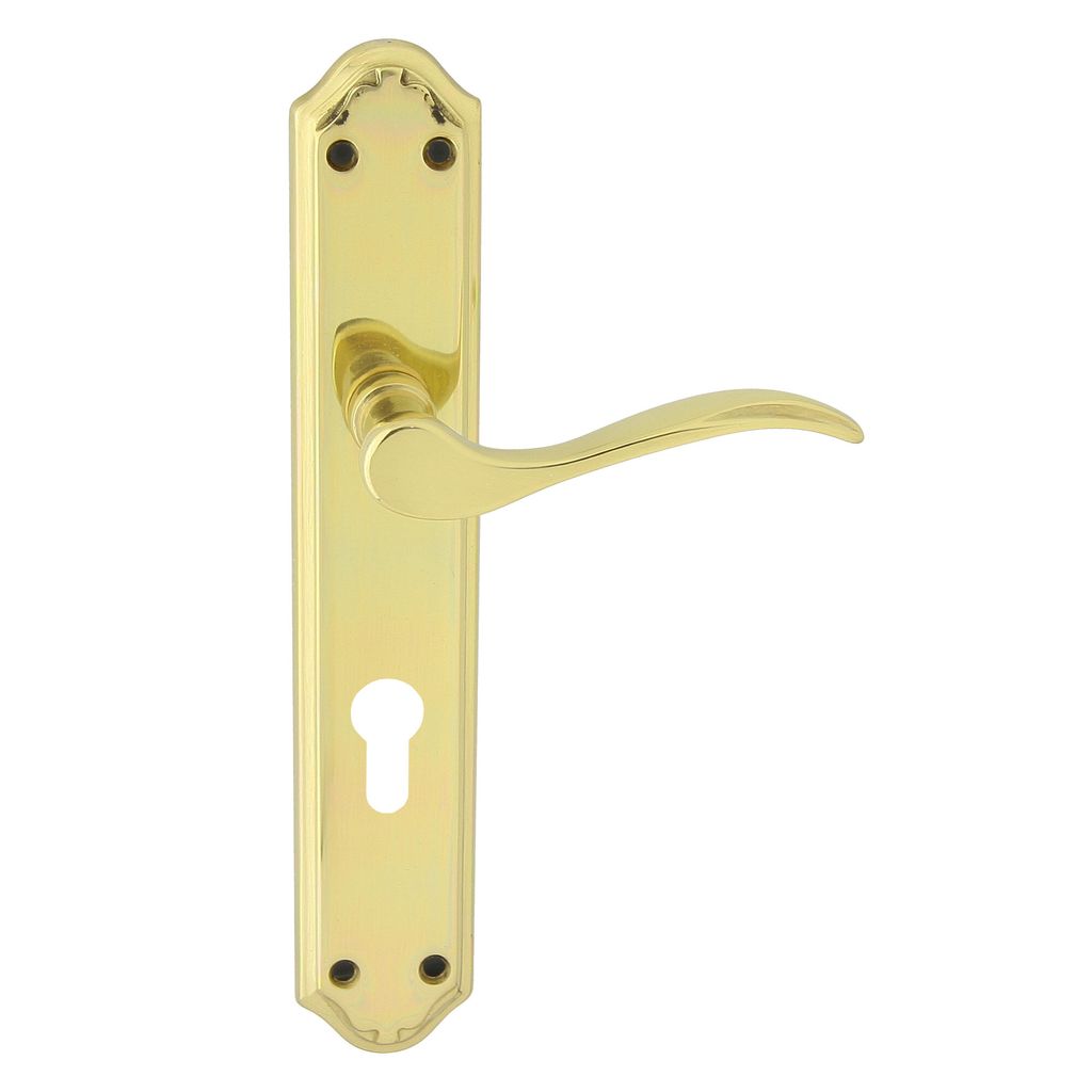 DOMINO Türgriff 72 Drückergarnitur PZ - Profilzylinder Set | Türklinke für Zimmertür, Bürotür, Kellertür & Innentür | L-Form | Türbeschl...
