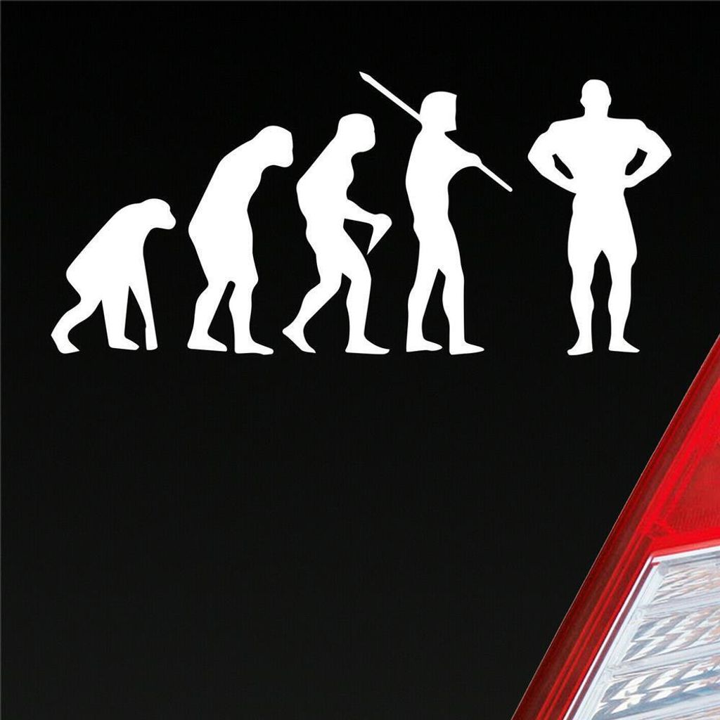 Auto Aufkleber Evolution Fitness Sport Bodybuilding 15x7 cm Weiss Matt Sticker Heckscheibenaufkleber