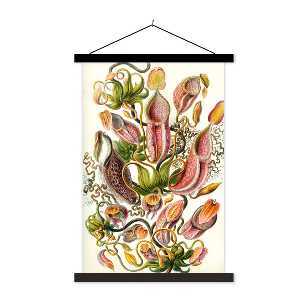 MuchoWow Textilposter Design - Botanisch - Fleischfressende Pflanze - Ernst Haeckel 120x180 cm mit schwarzem Rahmen - Fotos