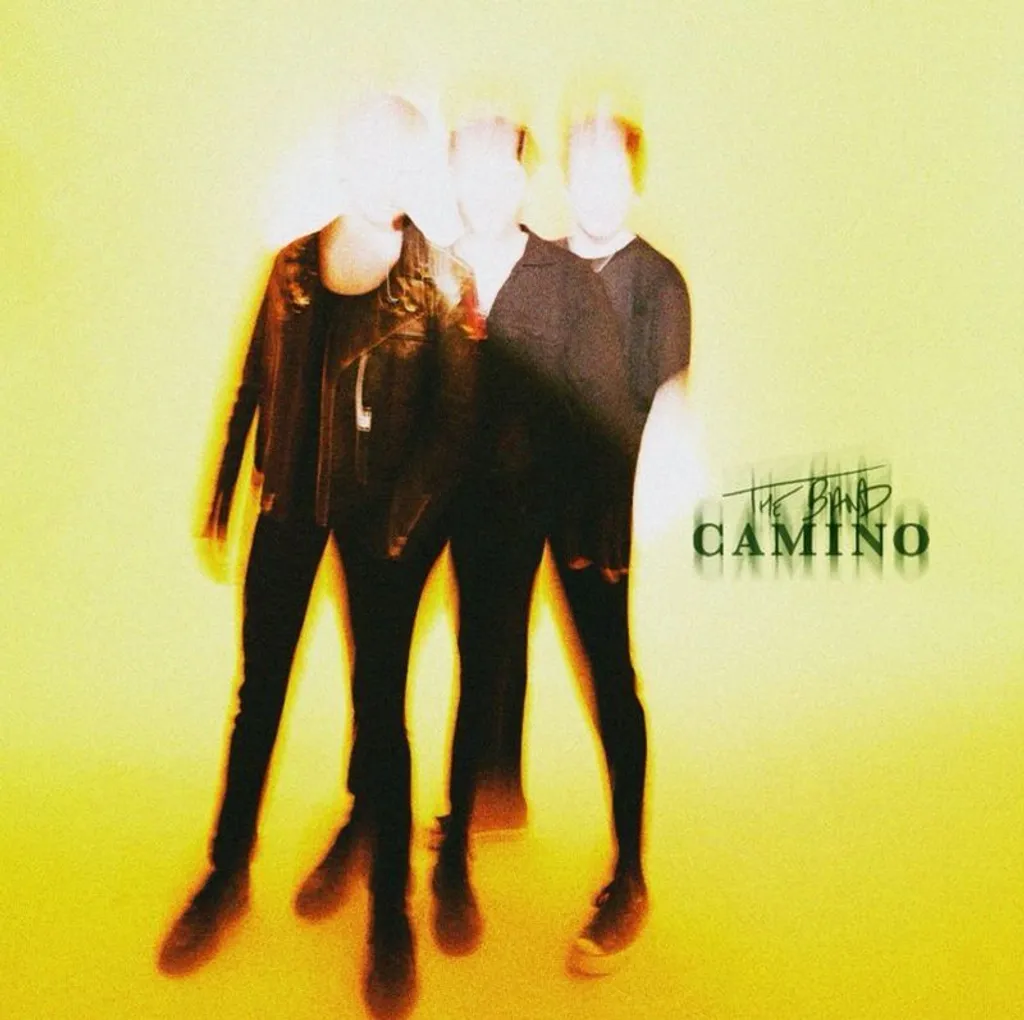 Vinyle The Band Camino Album Éponyme Clear LP Edition Indie Exclusive