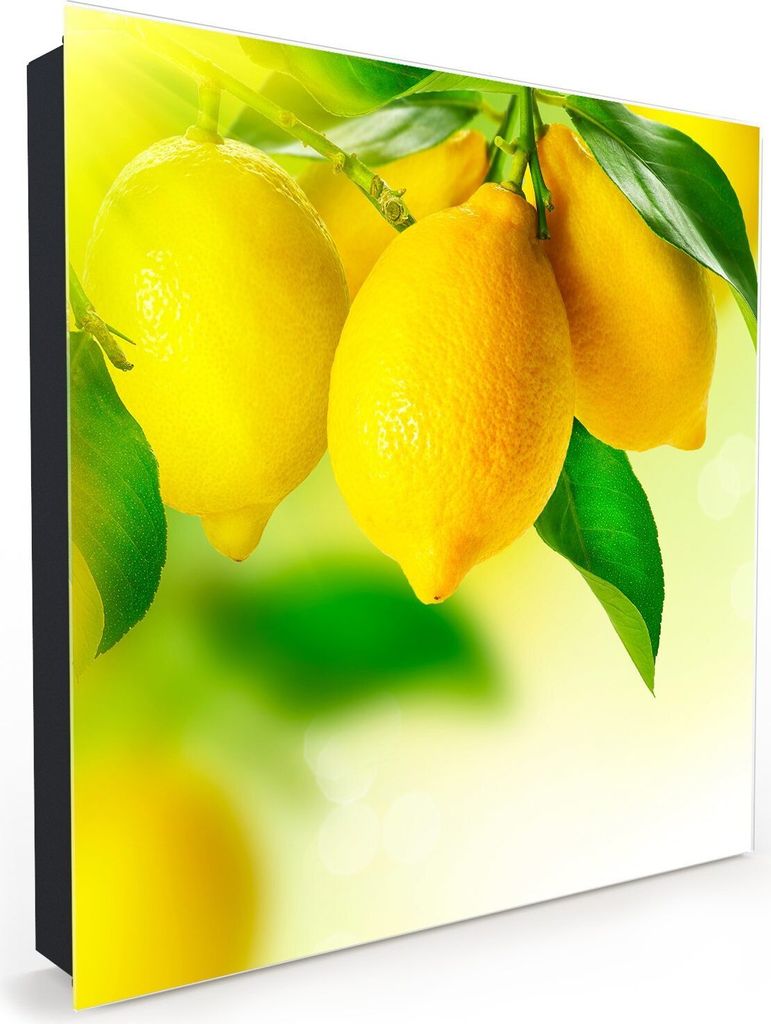 Nachbildung-Schlüsselkasten, Magnetpinnwand und Memoboard mit Glasfront Motiv Zitronenbaum