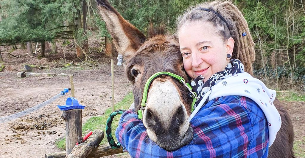 mydays Tagestour mit Eseln Eppenbrunn; Erlebnis verschenken oder selbst erleben; Gutschein für 1 Person(en)