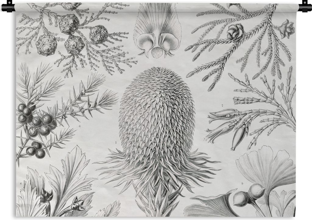 MuchoWow Wandteppich Wandbehang Koniferen - Ernst Haeckel - Kunst - Retro - Illustration - Natur 90x67.5 cm Tapisserie Dekoration Wandtuch - Foto...