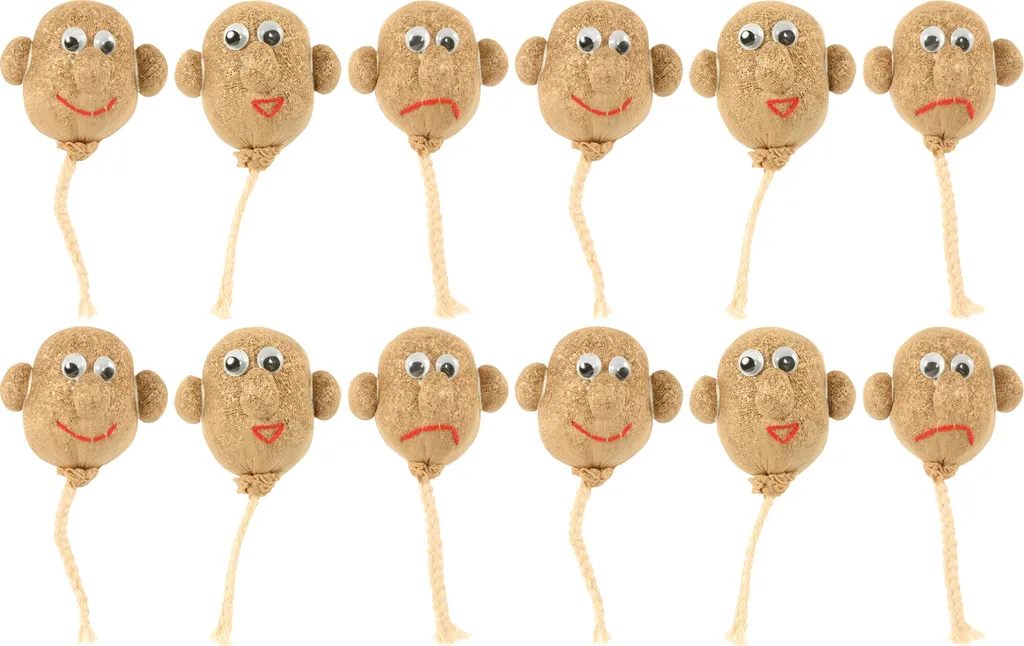Figurine Tête à Pousser en Gazon Naturel - Kit Pédagogique de 12 Unités