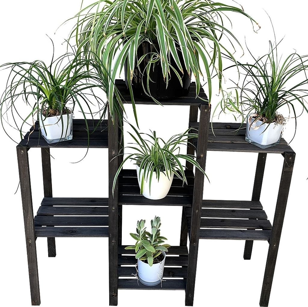 A dark wooden plant stand with several potted plants on it, set against a white background.