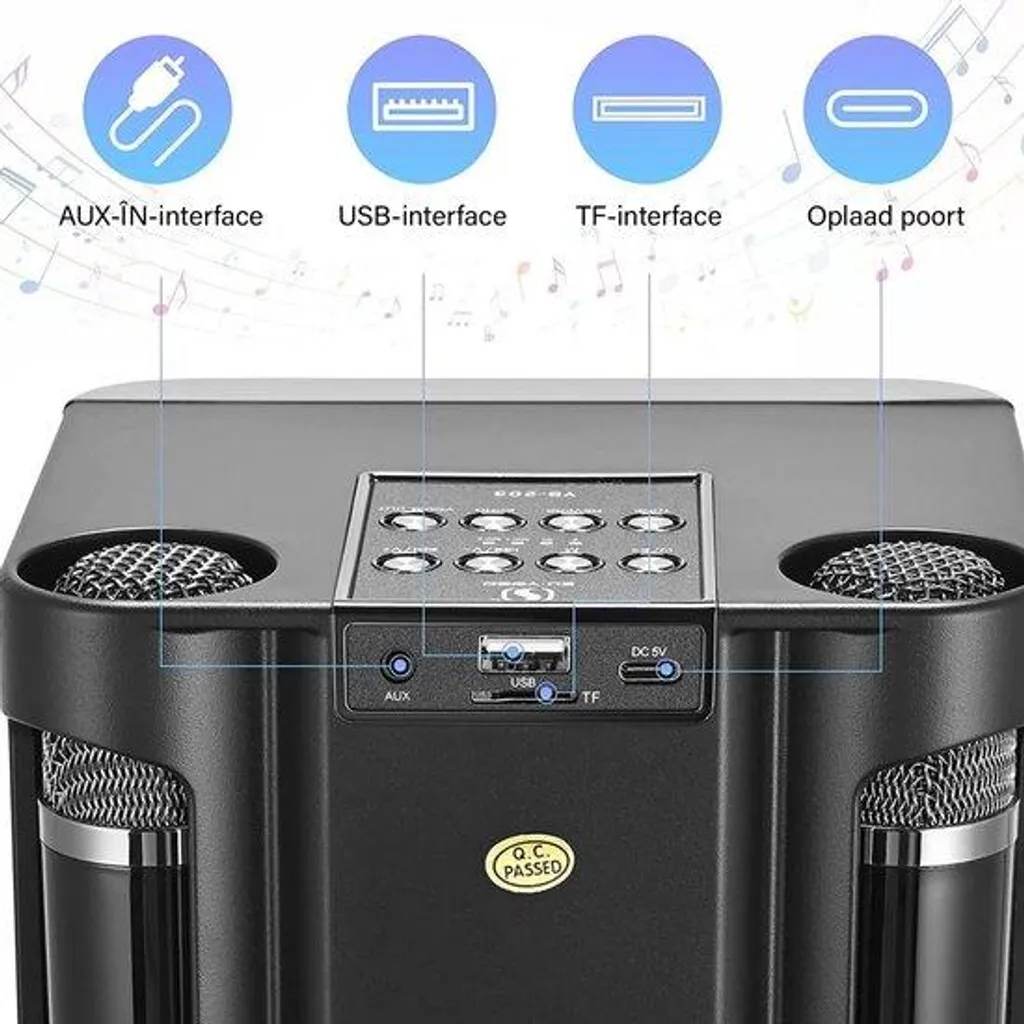 Système de Karaoké Portable Duo d'Enceintes et Microphones sans Fil Noir