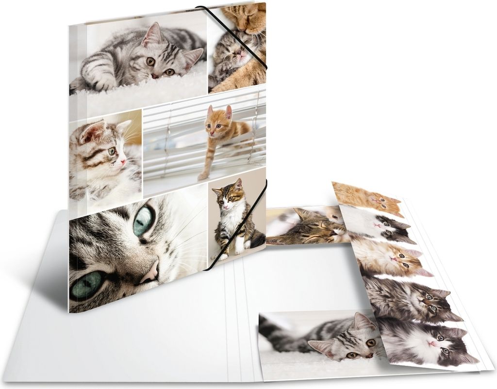 Sammelmappe A4 Pappe Katzen Packung mit 3 Stück
