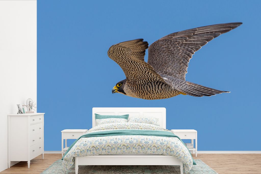 MuchoWow Fototapete für Wohnzimmer oder Schlafzimmer Wandtapete Vinyl Motivtapete Falke - Luft - Flügel - 330x220 cm - Fototapeten