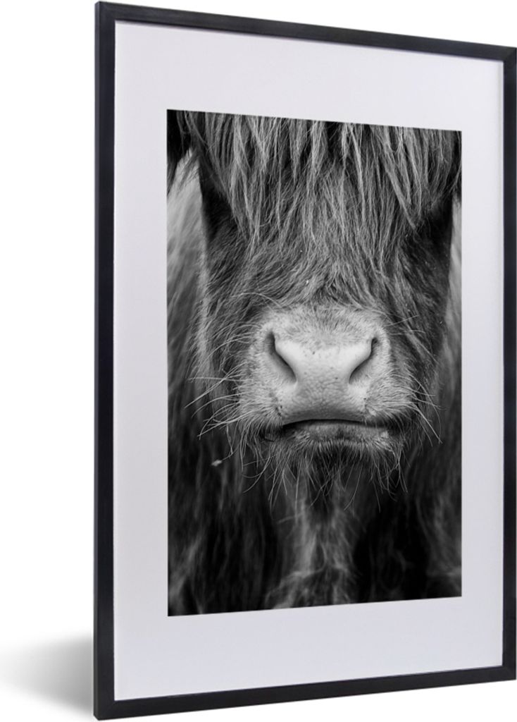 MuchoWow Gerahmtes Poster Schottischer Highlander - Haare - Tiere 40x60 cm - Poster mit Schwarzem Bilderrahmen Wandposter Rahmen Foto Bilder - Po...