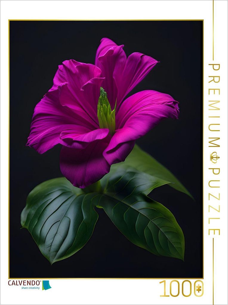 CALVENDO Puzzle Traum in Magenta | 1000 Teile Lege-Größe 64x48cm Foto-Puzzle für glückliche Stunden
