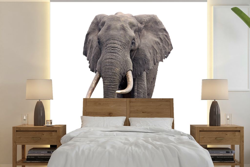 MuchoWow Fototapete für Wohnzimmer oder Schlafzimmer Wandtapete Vinyl Motivtapete Elefant - Afrika - Weiß - 300x300 cm - Wanddekoration
