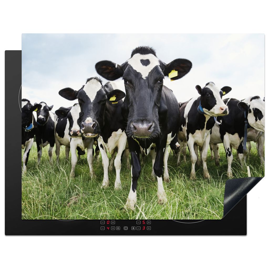 KitchenYeah Herdabdeckplatte Kühe - Gras - Frühling - Tiere - Wiese - Bauernhof , 77x59cm, Küche Deko, Glaskeramikkochfeld Herdabdeckung, Abde...