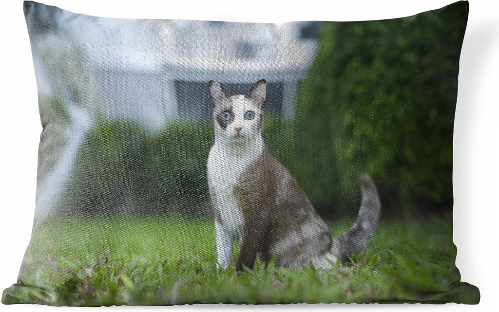MuchoWow Outdoor Kissen - Katze - Siamese - Gras - Mädchen - Kinder - Jungen - Kind - 50x30 cm - Wetterfest - Lounge Kissen - Sofa kissen - Wohn...