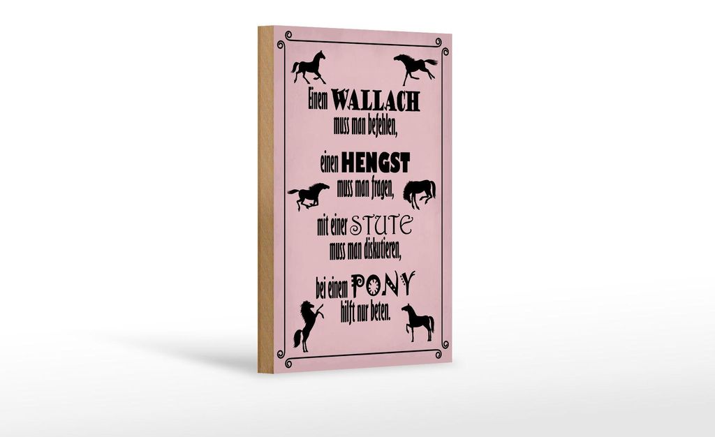 Holzschild Spruch 12x18cm Pferde Wallach Hengst Pony Stute