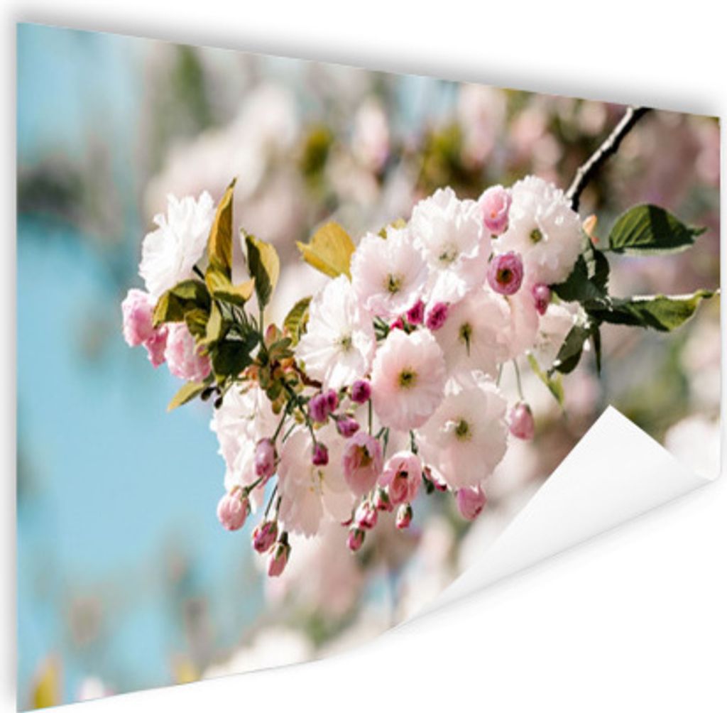 MuchoWow Poster Blumen - Blüte - Frühling 180x120 cm - Fotoplakat