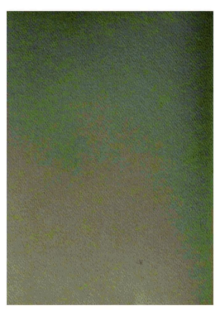 Clairefontaine Zeichenpapier A4 160g hellgrün 5B