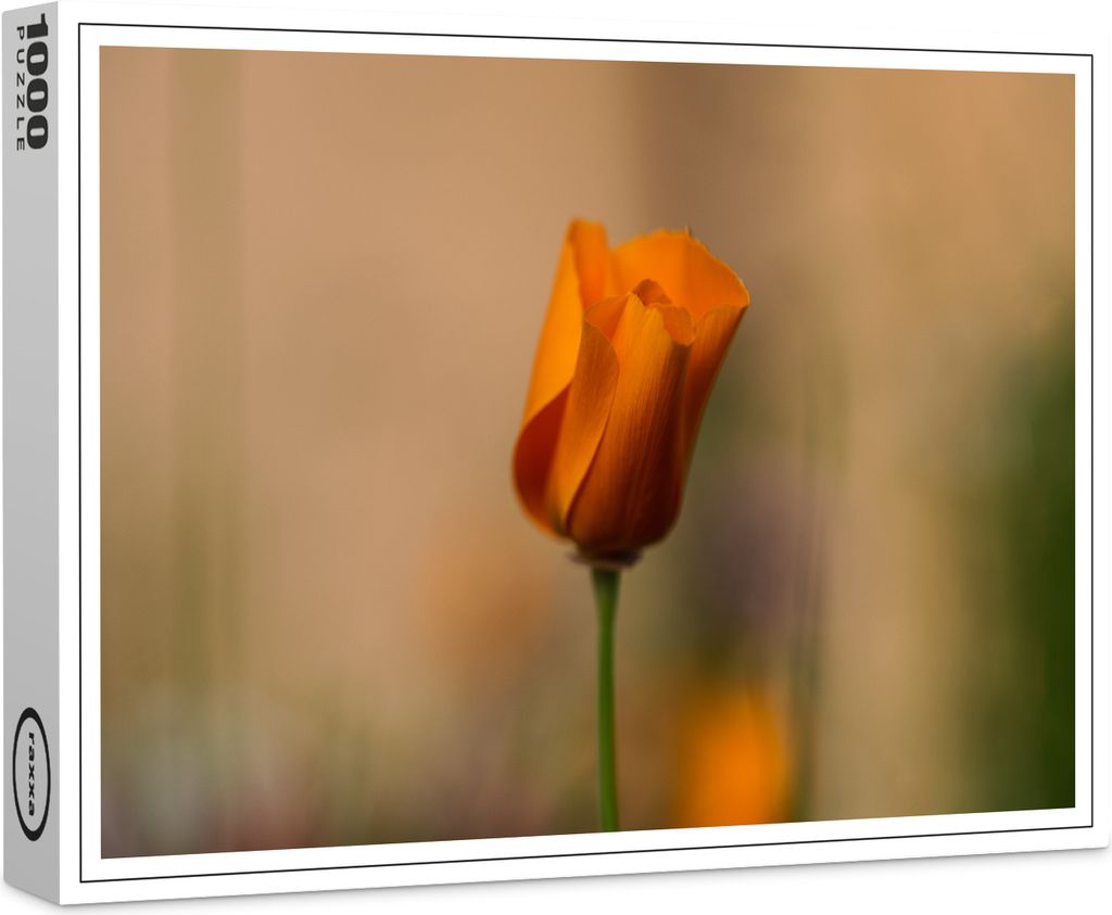 raxxa Premium-Puzzle "Mohnblüte", 1000 Teile Produktbild 