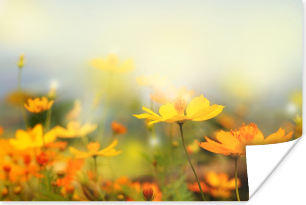 MuchoWow Poster Blumen - Landschaft - Gelb 120x80 cm - Bilder
