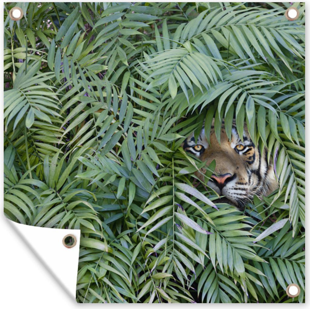 MuchoWow 100x100 cm Outdoor-Poster Gartendeko Sichtschutz Garten Poster für den Garten Tiger - Blätter - Farn