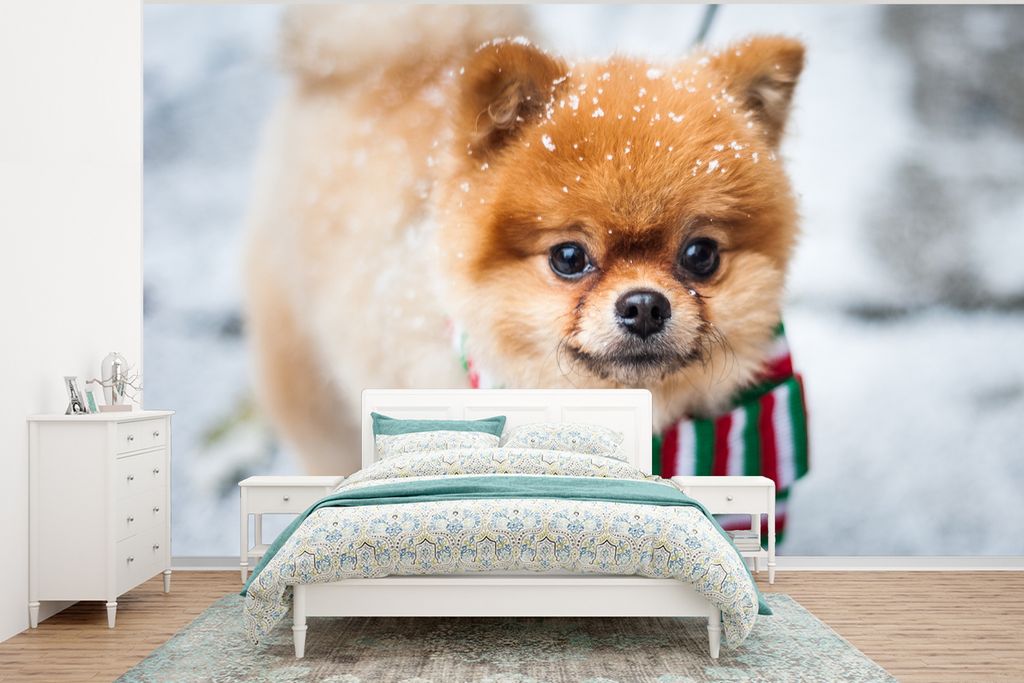MuchoWow Fototapete für Wohnzimmer oder Schlafzimmer Wandtapete Vinyl Motivtapete Hund - Halstuch - Schnee - 320x240 cm - Tapeten