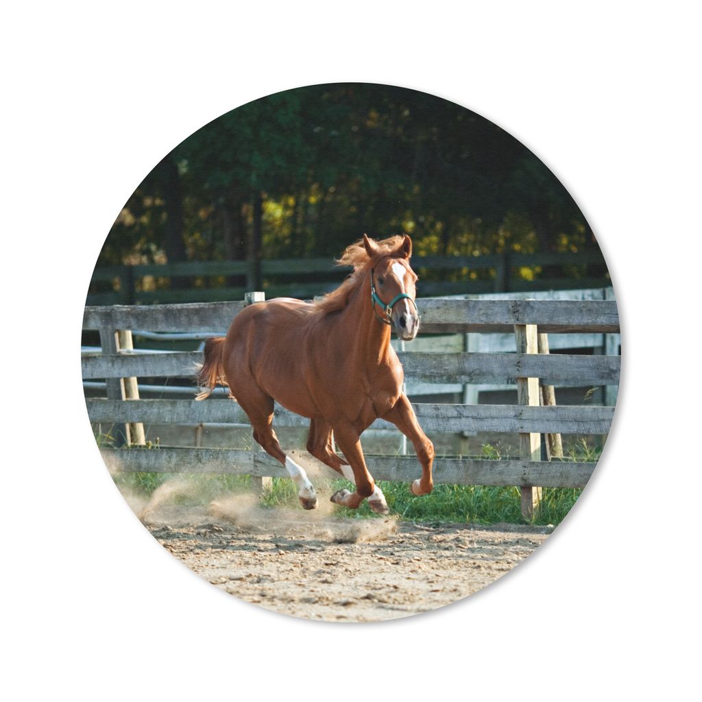 MuchoWow Mauspad Mousepad Pferd - Licht - Sand 20x20 cm - Mousepads - Maus Mat - Pad - Mausunterlage - Schreibtischmatte