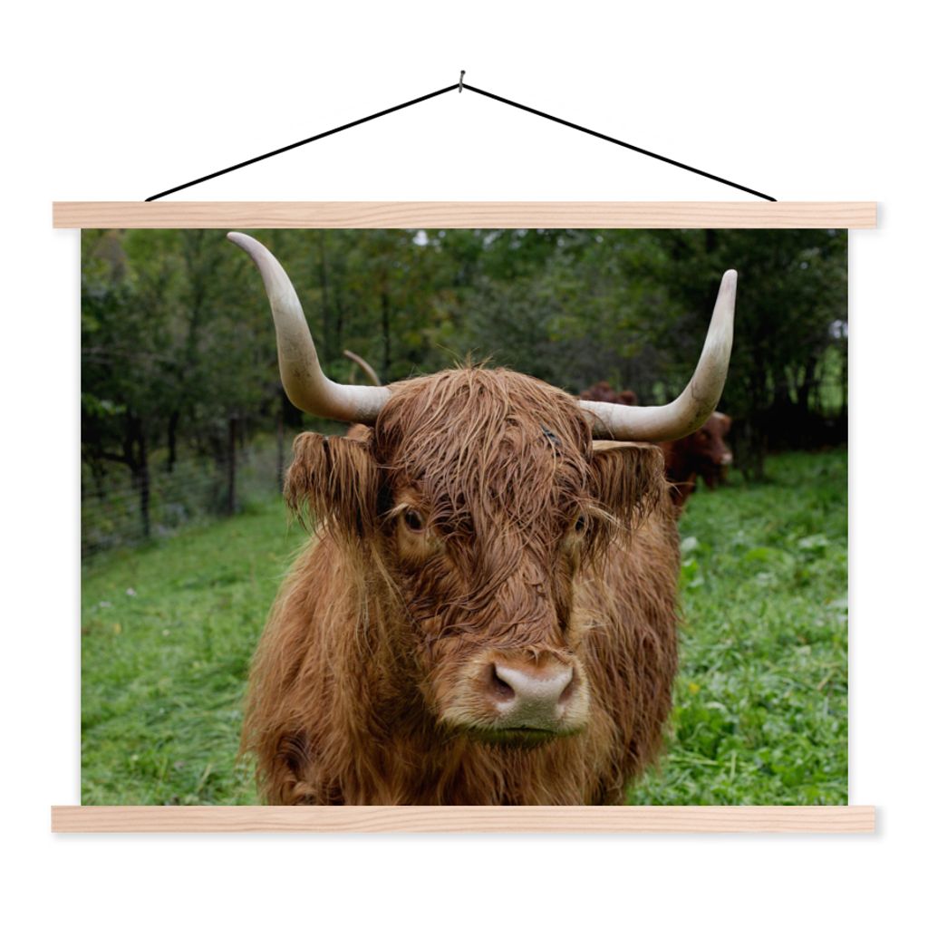 MuchoWow Textilposter Schottische Highlander - Tiere - Gras 60x45 cm mit holzfarbenen Rahmen - Bild