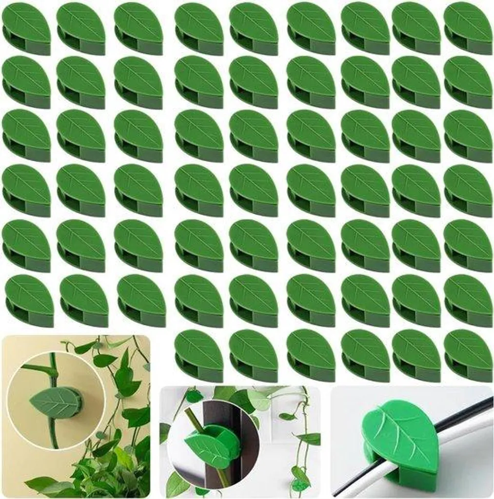 Guide pour plantes grimpantes d'intérieur - 40 supports muraux invisibles