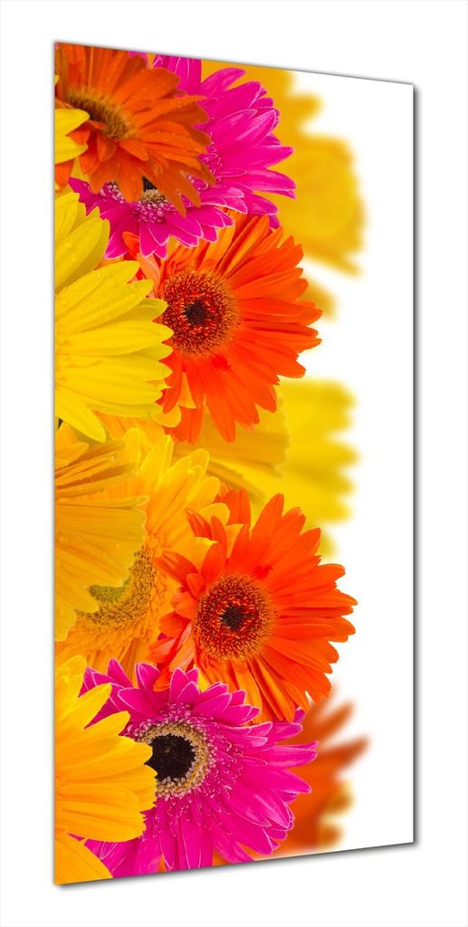 Wallario selbstklebende Duschrückwand 90 x 200 cm mit Motiv Bunte Gerberas - pinke, gelbe, rote und weiße Blüten - Wandverkleidung mit Hochglanz...