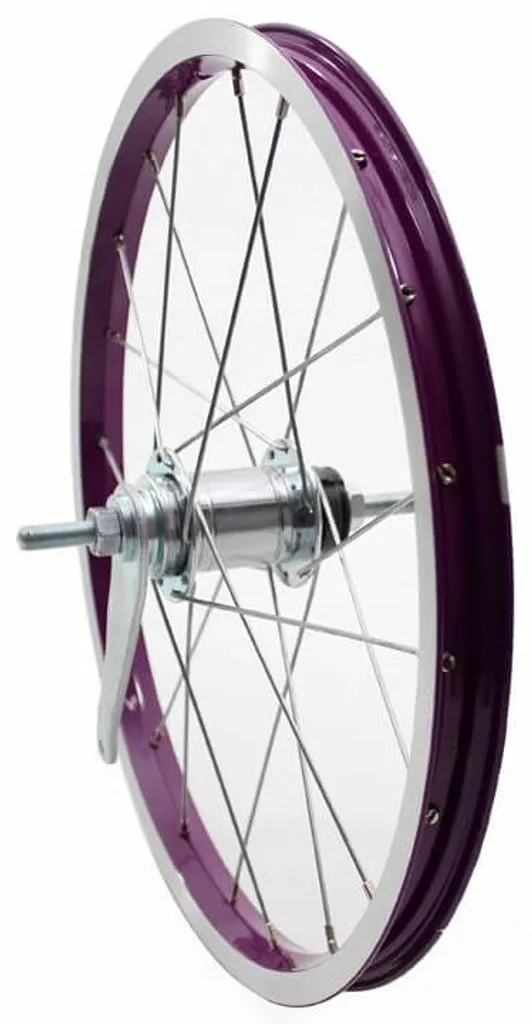 Roue Arrière pour Vélo Enfant Alpina 20 Pouces J19db Rayons Zinc