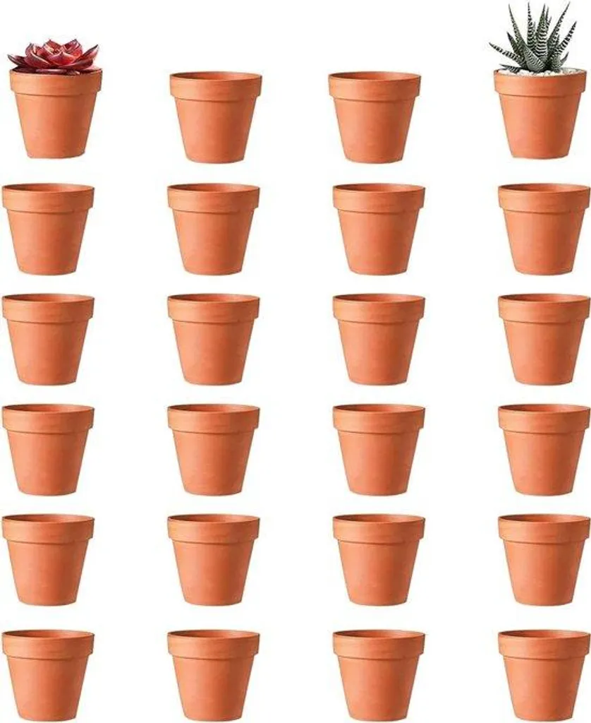 Évitez le surplus d'eau : Mini-pots en grès avec drainage pour plantes saines