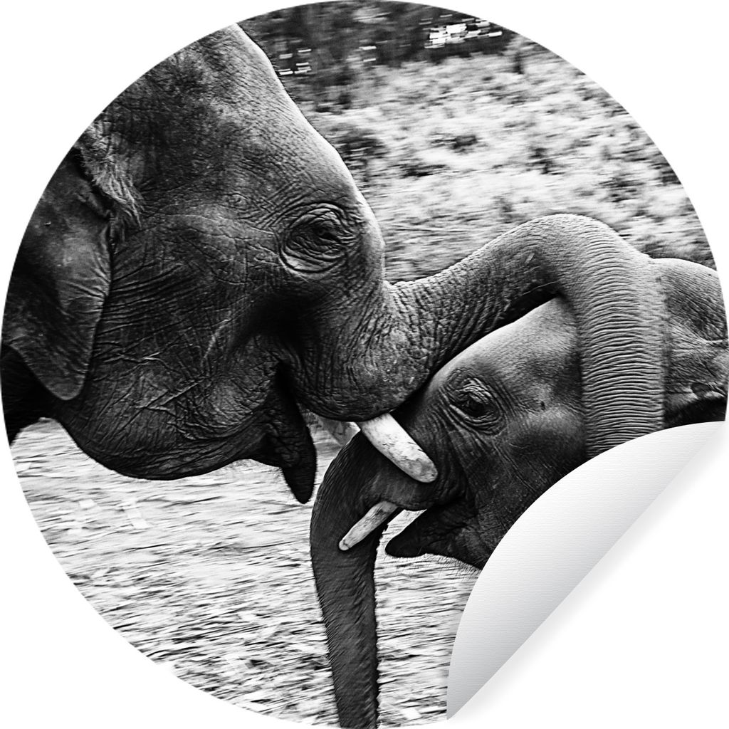 MuchoWow Runde Wandtattoo - Wandsticker Tapete Aufkleber Elefant - Tiere - Natur - Schwarz und weiß Ø 80 cm Selbstklebend und Repositionierbar ...
