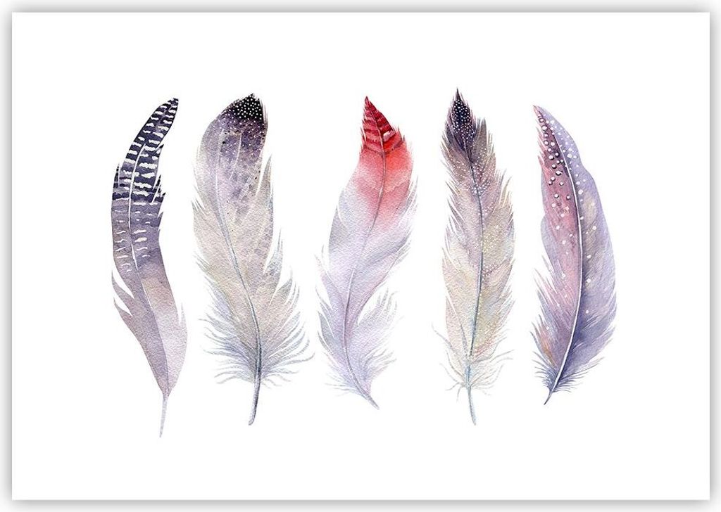 Poster - Poster ohne Rahmen - Feder Tier Vogel Komposition - 100x70 cm - Wand Bild - Wanddeko - Wandbilder - Kunstposter - Wandposter - Bilder - Ku...