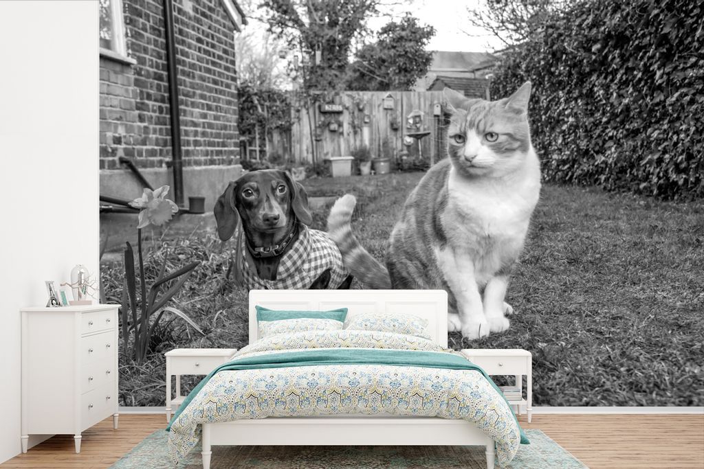 MuchoWow Fototapete für Wohnzimmer oder Schlafzimmer Wandtapete Vinyl Motivtapete Hund und Katze sitzen im Gras - schwarz und weiß - 330x220 cm...