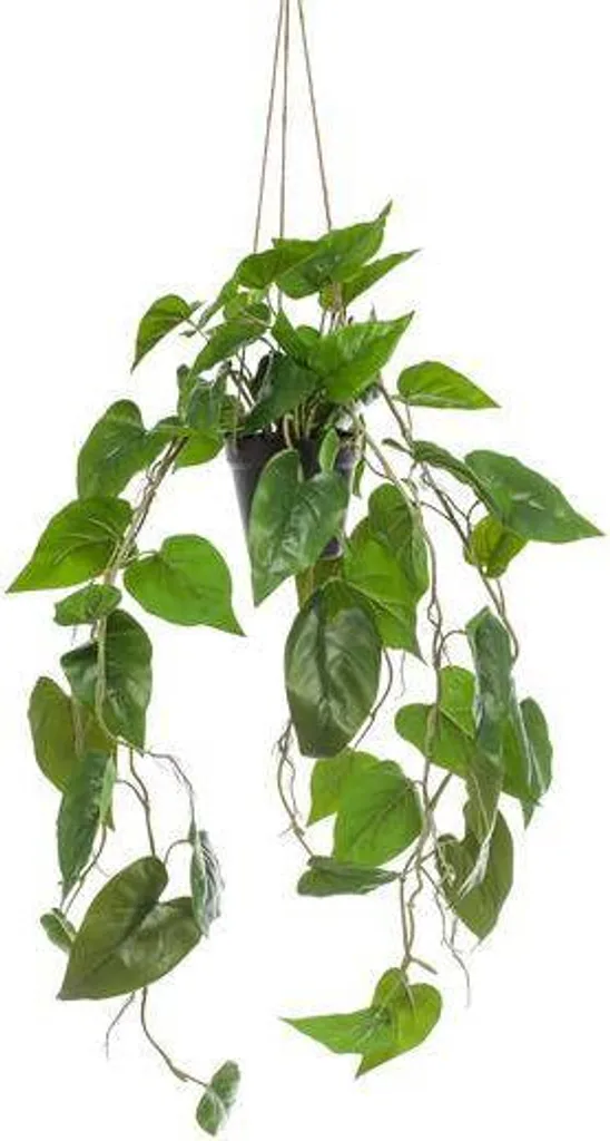 Philodendron artificiel retombant 80 cm - Décoration étagère et bureau
