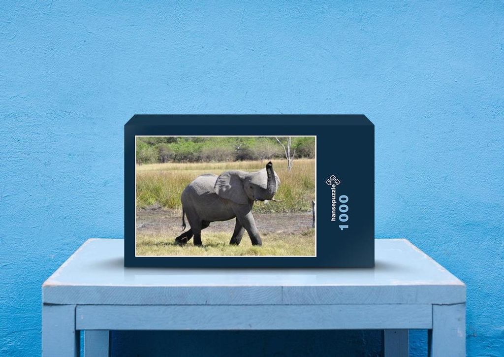 hansepuzzle 86888 - Elefant Puzzle, 1000 Teile, Tierwelt, 60,0 x 46,0cm mit hochwertiger Aufbewahrung, Kartonbox und wiederverschließbarem Beutel