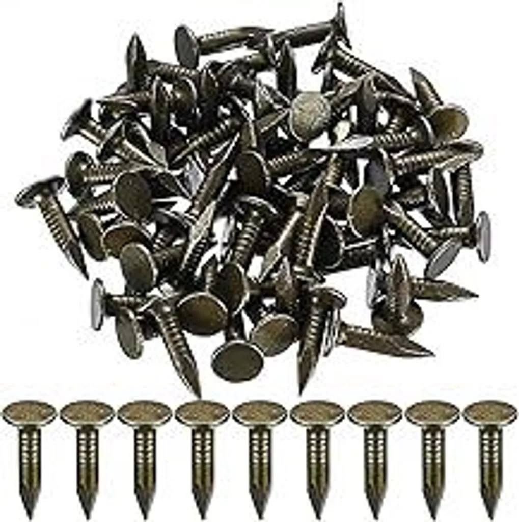 100 pezzi di chiodi per cartone catramato, chiodi per cartone catramato, chiodi per tetti per chiodi in feltro, chiodi con testa extra large da 20 mm, chiodi per cartone catramato per capanni in legno, mobili, artigiani, acciaio legato