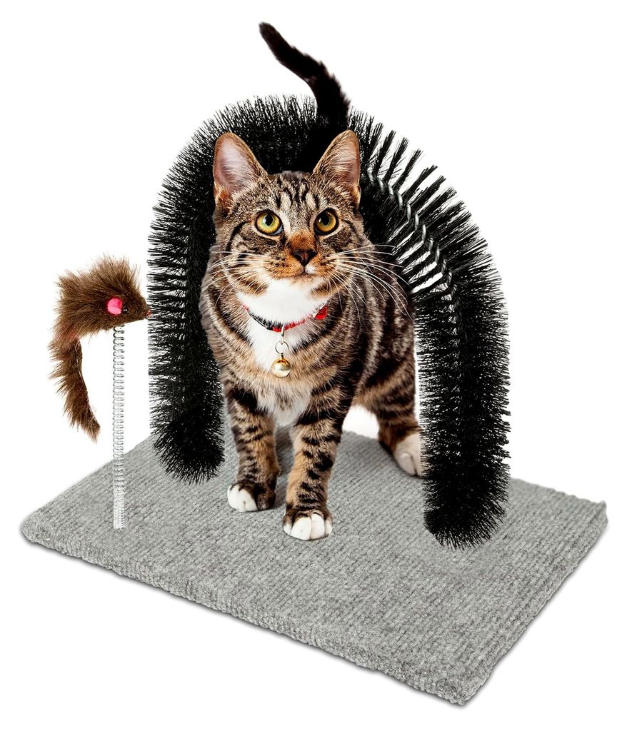 Katzenspielzeug und Enthaarungsbogen - Spielzeug und Kratzteppich für Katzen - Massagebogen mit Spielzeugmäuschen