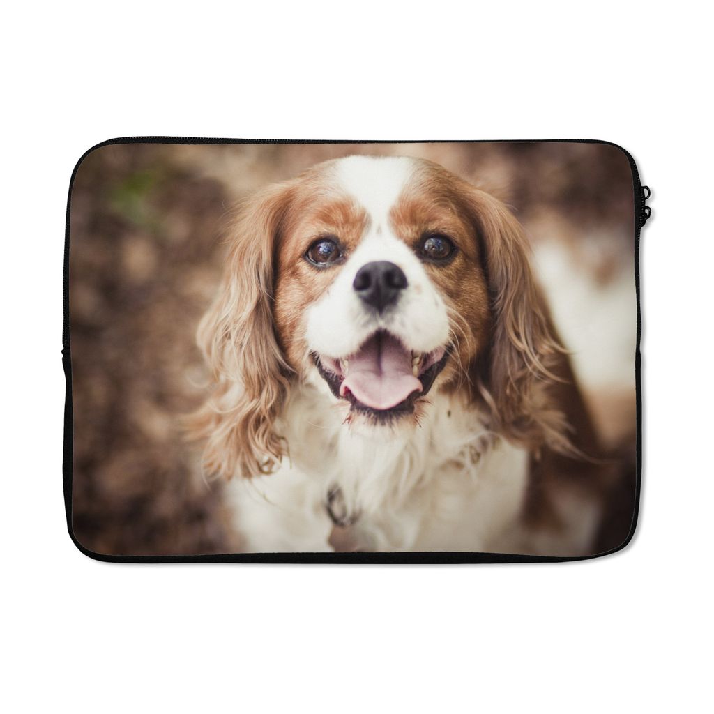 MuchoWow Laptop Hülle 14 ZollCavalier King Charles Spaniel im Herbst Laptoptasche - Laptoptasche - Stoßsicher - Schutzhaube